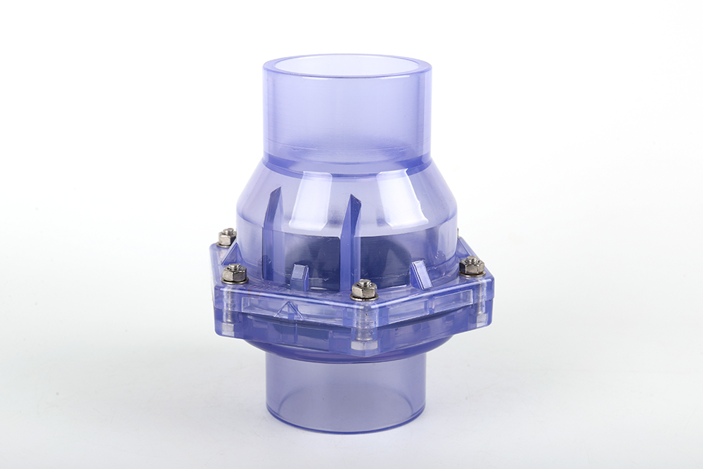 本号镇透明翻板式止回阀